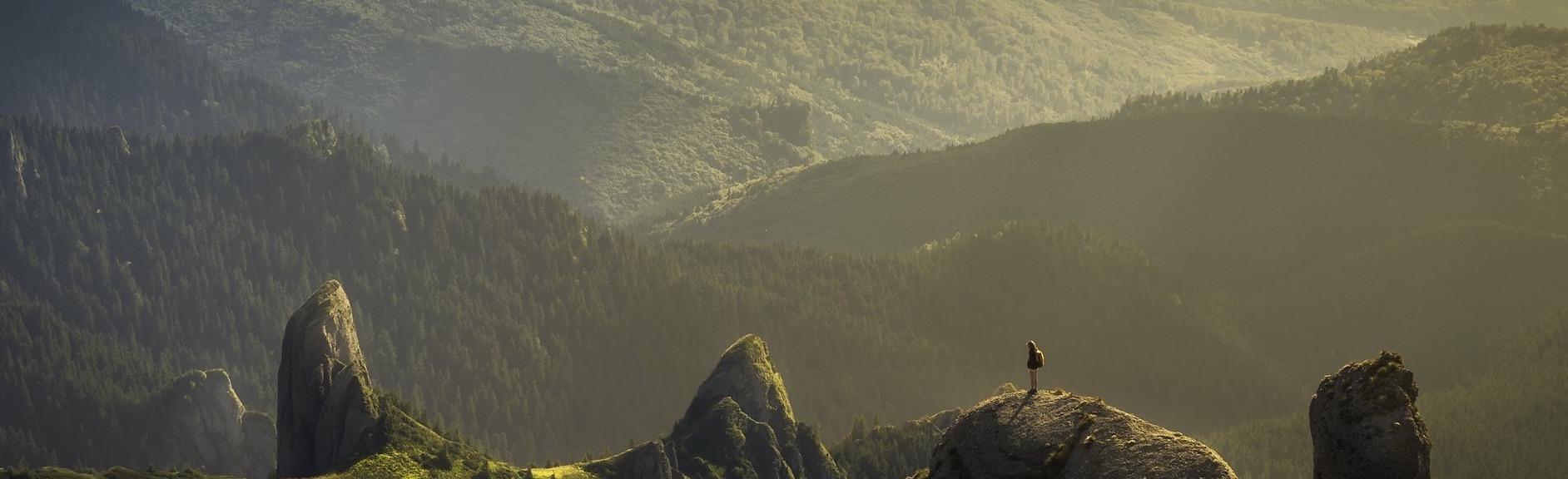 夜明け前のメモワール